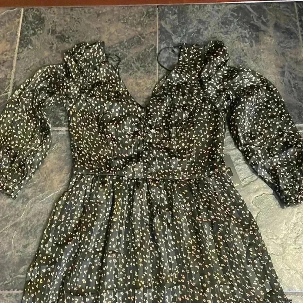Japna dress, size XS. Sheer material over black lining. NWT. - Picture 3 of 12